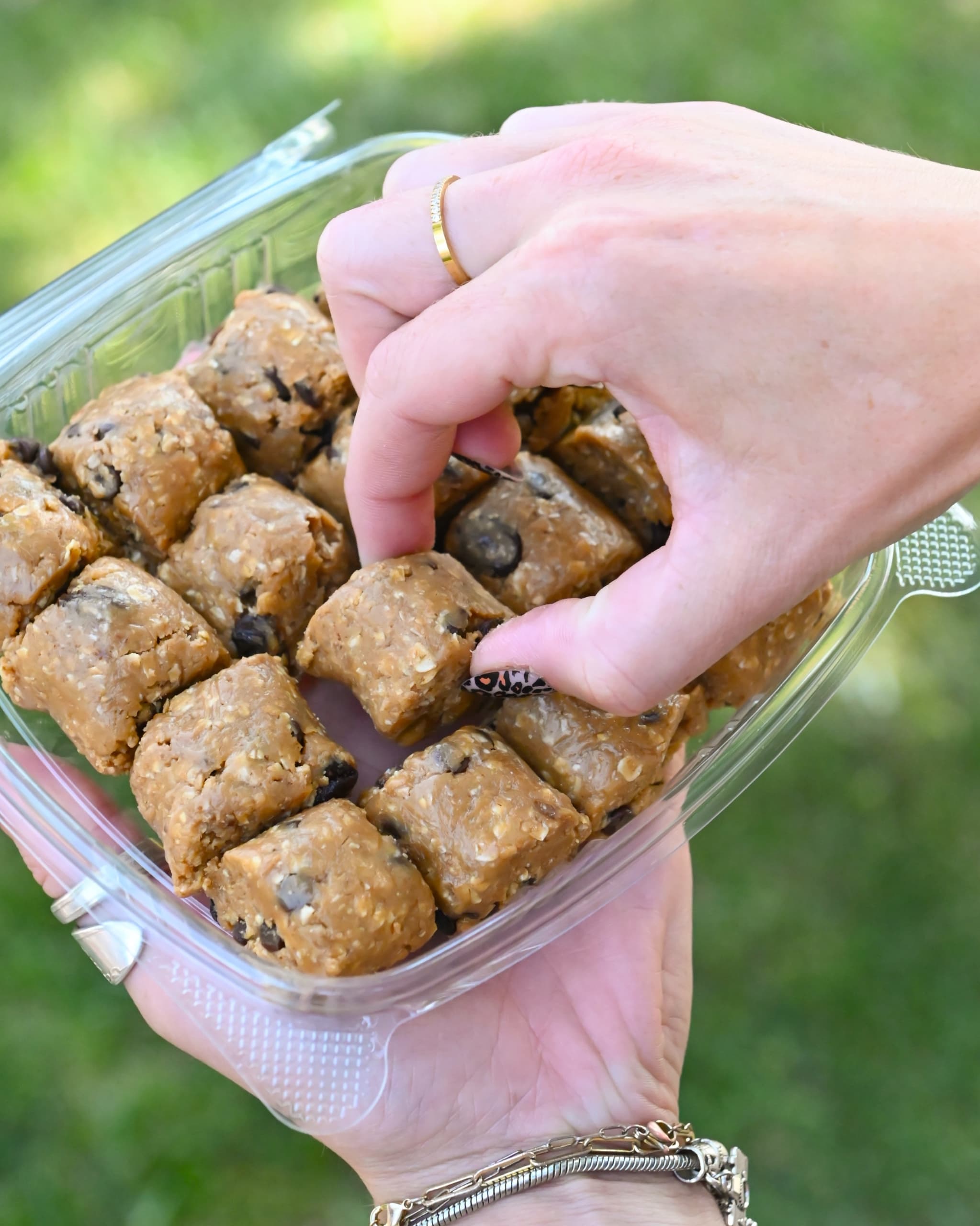 16-Pack Protein Bites